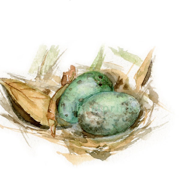 Watercolor Bird Nest, Bird Nest Print