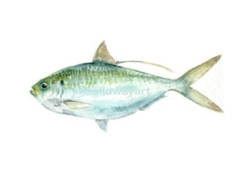 Watercolor Baitfish, Baitfish Print, Saltwater Baitfish Print