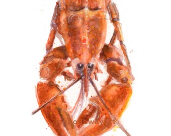 Watercolor Lobster, Lobster Print, Lobster Art, Seafood Art, Red Lobster Art