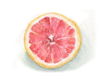 Watercolor Grapefruit, Pink Grapefruit Print, Citrus Print