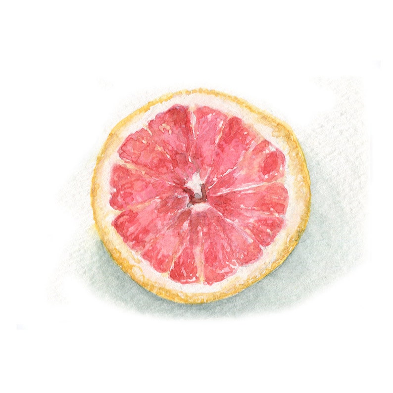 Watercolor Grapefruit, Pink Grapefruit Print, Citrus Print image 1