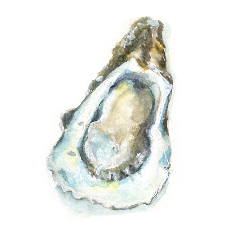 Watercolor Oyster Oyster Print Oyster Art Oyster Shell Art Etsy