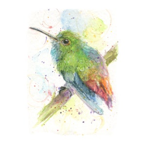 Watercolor Hummingbird, Hummingbird Print, Costa Rican Hummingbird Print, Colorful Bird Print