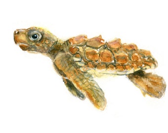 Watercolor Baby Sea Turtle, Baby Sea Turtle Print