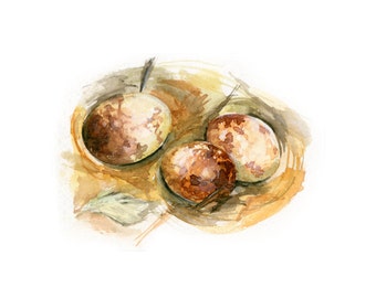 Watercolor Bird Nest, Bird Nest Print