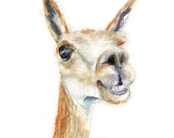 Watercolor Alpaca, Alpaca Print, Alpaca Art, Alpaca Painting, Alpaca Illustration, Alpaca Portrait