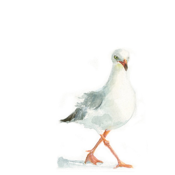 Watercolor Seagull II, Seagull II Print