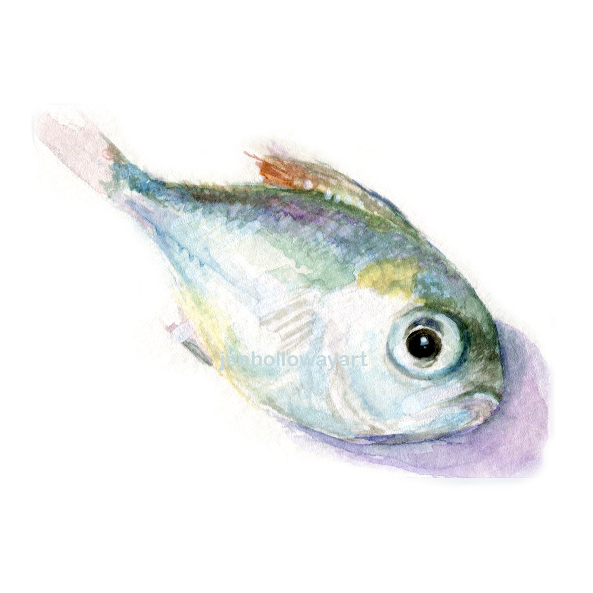 Watercolor Fish, Bait Print, Small Fish Print, Fish Print, Fish Art