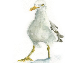 Watercolor Seagull III, Seagull III Print