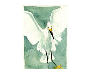 Watercolor Egret, Egret Print
