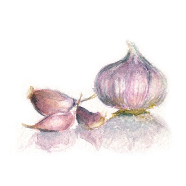 Watercolor Garlic, Garlic Print, Garlic Art, Kitchen Art