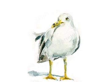 Watercolor Seagull , Seagull Print