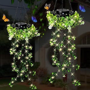 money tree plant pot Money Tree Plant | Plant Gifts main image 1