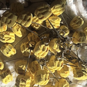 May include: A collection of yellow fire poi heads with metal hardware. The fire poi heads are made of a woven material and are attached to metal rods with adjustable clamps. The poi heads are a bright yellow color.