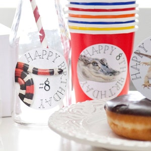 May include: A set of party supplies featuring a reptile theme. The supplies include a milk glass bottle with a red and white striped straw, red cups, and round paper labels with images of a snake, alligator, and lizard. The labels also include the text "Happy 8th Birthday".