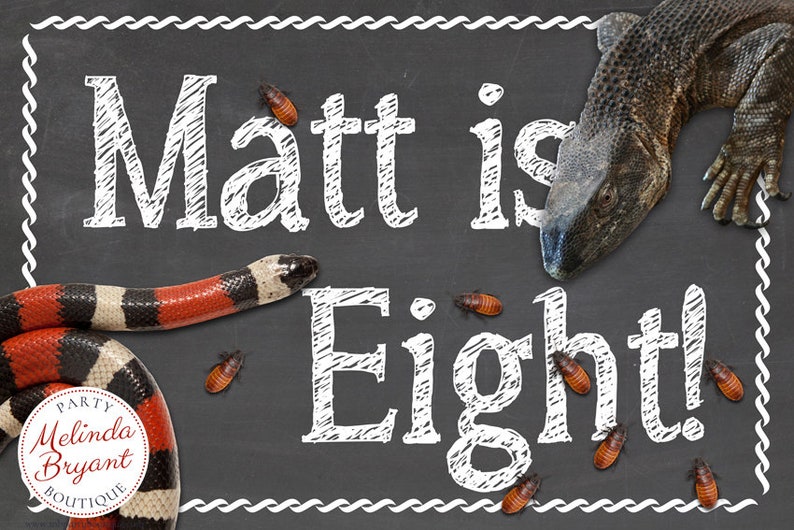 Printed Reptile Party 2x3 Backdrop Snake Birthday Banner Etsy