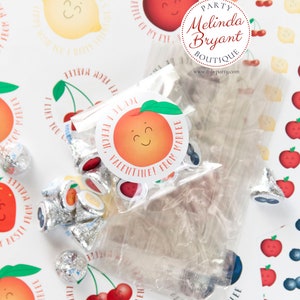 Kids Personalized Valentines Farmers Market Fruit Stand Themed Sticker Sheets, Optional Kits Include Bags / Easy Assembly Party Favor Candy Kit (12)