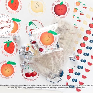 Kids Personalized Valentines Farmers Market Fruit Stand Themed Sticker Sheets, Optional Kits Include Bags / Easy Assembly Party Favor image 4