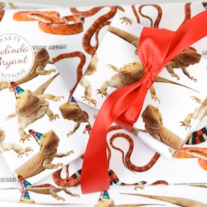 Papier cadeau d'anniversaire personnalisé avec dragon barbu et serpent avec lézard portant un chapeau de fête Trois modèles, petits à longs rouleaux de papier premium