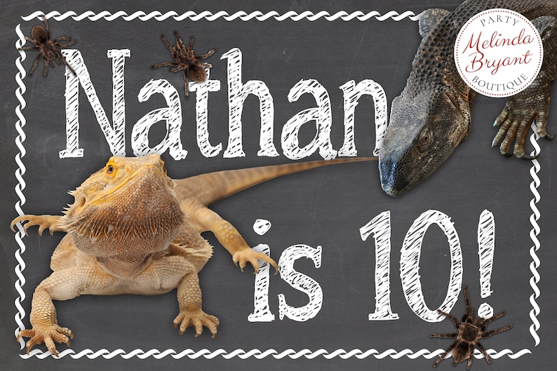 Printed Lizard Party 2x3 Backdrop Birthday Banner Reptile Etsy