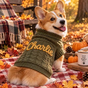 Personalized Dog Sweater with Name, Custom Embroidered Puppy Jumper, Cozy Small Dog Winter Clothes, Dog Mom Gift, Pet Birthday Outfit