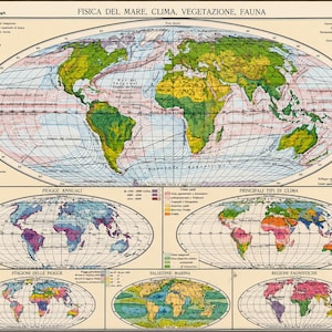 May include: A vintage-style educational wall map titled FISICA DEL MARE, CLIMA, VEGETAZIONE, FAUNA. It features a large central world map with smaller thematic maps below detailing annual rainfall, climate types, rainy seasons, salinity, and fauna regions.