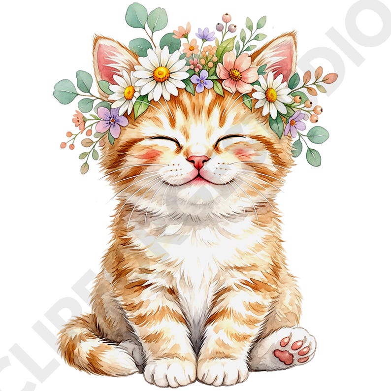 12 Cute Kittens Watercolor Clipart PNG Bundle, Floral Cat Clipart, Boho ...