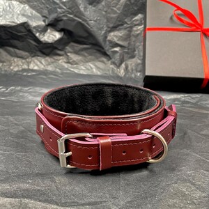 May include: A deep burgundy leather collar featuring a black interior lining, a silver-toned metal buckle, and a matching D-ring. The collar is constructed with visible stitching along the edges and includes a series of adjustment holes.