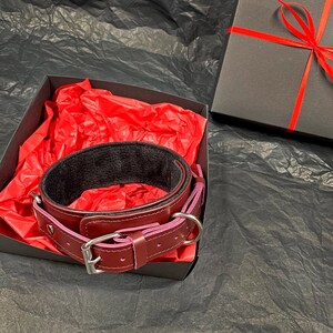 May include: A dark burgundy leather collar featuring a black interior lining, a silver-toned metal buckle, and a D-ring attachment. The collar is presented inside a black gift box lined with bright red tissue paper and includes a matching lid.