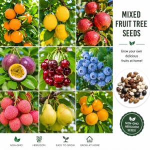 May include: A collage of various fruits including oranges, lemons, apples, passion fruit, cherries, blueberries, lychees, pears, and apricots. The text reads Mixed Fruit Tree Seeds, Grow your own delicious fruits at home, Non-GMO, and Heirloom Seeds.
