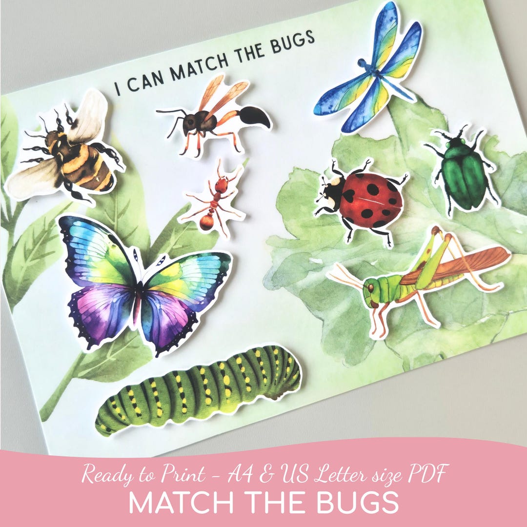 Bug Matching Craft Bug Matching Printable Activity, Toddler Busy Book Page, Montessori ...