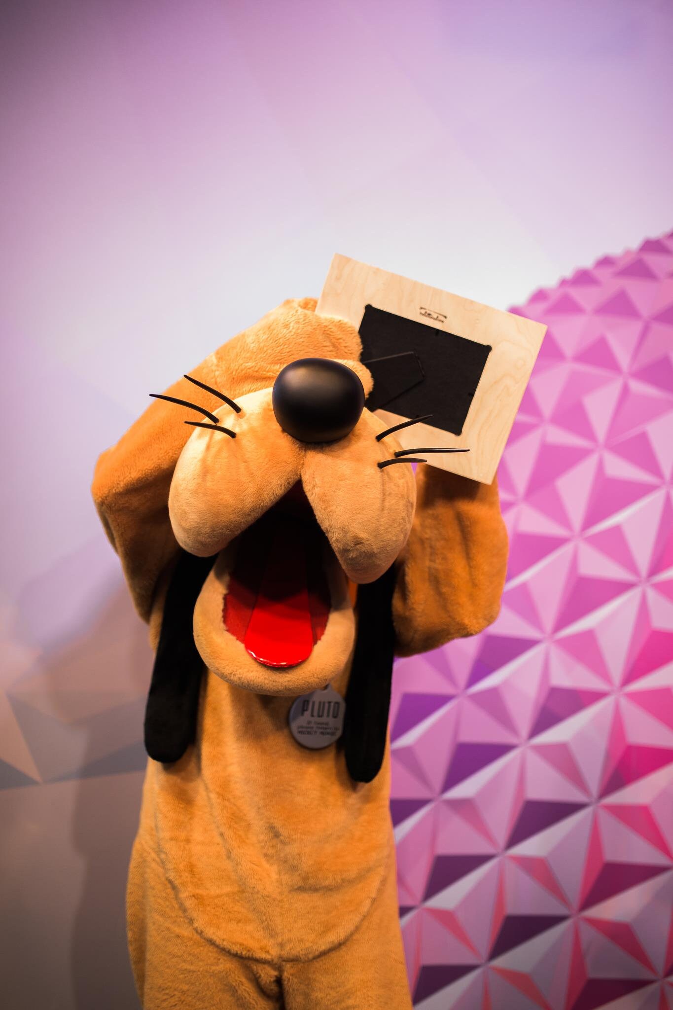 2002ディズニー犬のキャラクターピンズフレーム 2002ディズニー犬のキャラクターピンズフレーム