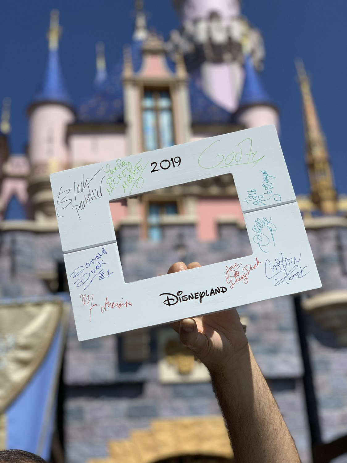 Autograph Picture Frame, Disney Trip Frame, Character Signature Photo Mat,  Disney Character Frame, Disney Autograph Book 