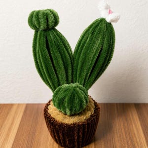 Handmade Pipe Cleaner Cactus | Cute Cactus Decor | Desk Decor | Office Decoration | Handmade Home Decor | Unique Gift | Faux Cactus in Pot