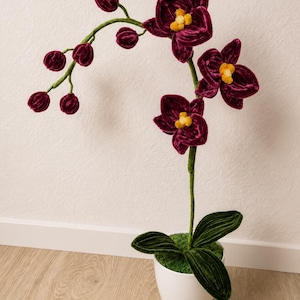 Könnte beinhalten: Eine dekorative Orchideenpflanze aus tiefburgunderrotem Samtstoff. Die Pflanze zeigt drei voll erblühte Blüten mit gelben Zentren, mehrere geschlossene Knospen an einem gebogenen Stiel und dunkelgrüne Samtblätter in einem weißen Keramiktopf.