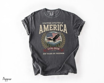 America 250th Anniversary 90s Graphic Style Comfort Colors Tshirt, 250th Anniversary Shirt, Y2k Oversized Patriotic USA Shirt