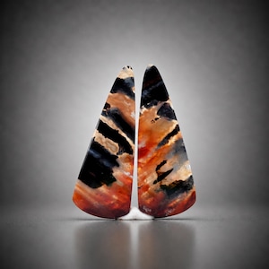 Schilderachtige cabochonpaar agaat, landschapsbrandpatroon edelsteen, druppeloorbellen (27 x 10 mm)