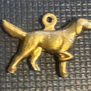 Può includere: Un piccolo ciondolo a forma di cane color oro con un anello nella parte superiore per appenderlo. Il ciondolo è una rappresentazione dettagliata di un cane in posizione di camminata, con zampe, coda e testa visibili. Il ciondolo è probabilmente in metallo.