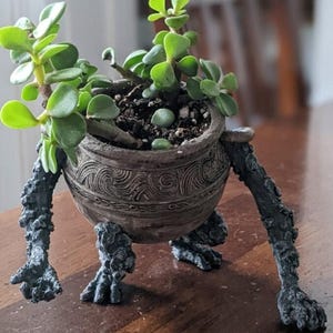 Puede incluir: Una maceta artesanal única con un diseño caprichoso. La maceta marrón presenta patrones intrincados y está sostenida por cuatro patas oscuras y texturizadas. Las exuberantes plantas suculentas verdes con hojas pequeñas y redondas brotan del suelo.