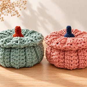 Può includere: Due cesti portaoggetti rotondi a forma di zucca, realizzati in corda lavorata a maglia spessa. Un cesto è verde salvia con un gambo color ruggine, l'altro è rosa polvere con un gambo blu scuro. Entrambi hanno una trama a coste e un coperchio.