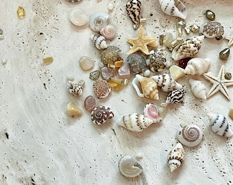 Mini conchiglie e stelle marine da 4-6 mm per nail art, decorazioni 3D per manicure a tema oceano e spiaggia, adesivi per unghie con conchiglie, lavoretti fai da te e unghie da sirena
