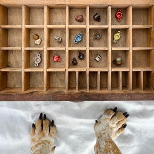 Pode incluir: Uma bandeja de tipografia de madeira cheia de miniaturas de chávenas de chá de cerâmica e objetos decorativos em várias cores. A bandeja está sobre um fundo branco, com duas patas de cão em primeiro plano.