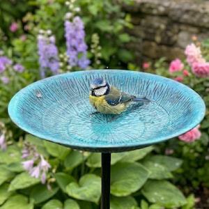 Könnte beinhalten: Eine türkisfarbene Vogeltränke mit strukturierter Oberfläche, in der sich ein kleiner blau-gelber Vogel befindet. Die Vogeltränke ist auf einem schwarzen Metallständer montiert, vor dem Hintergrund von üppigem grünem Laub und bunten Blumen.