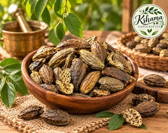 Frutto intero biologico di Haritaki / Ingrediente erboristico ayurvedico (Terminalia Chebula)