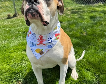 Reversible Dog Bandana | Coastal Mediterranean Citrus + Blue Tile Print | Handmade Summer Dog Bandana | 2-in-1 Tie-On Scarf