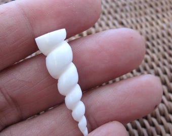 GEBOORDE minihoornhoorn, gesneden been spiraalhoorn, mythisch wezen, biologisch, benodigdheden voor het maken van sieraden S7317