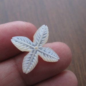 May include: A white, four-pointed star-shaped pendant made of mother of pearl with a carved design.