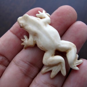 May include: A small, off-white frog figurine with detailed features. The frog is in a resting pose, with its legs and feet spread out. The figurine is made of a smooth material and has a slightly aged appearance. The frog is a decorative item.