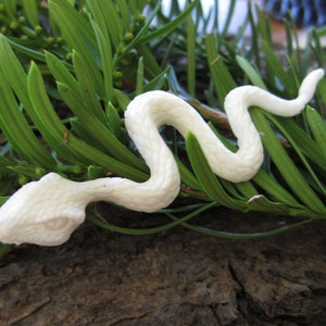 Amazing Detail Carved Snake, serpent, Buffalo Bone carving, Pendants, Jewelry making S2907