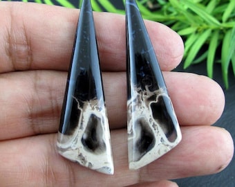 Excellent Petrified wood  cabochon pair, earrings,  Natural stone, Free drilling upon request Jewelry making supplies S10502